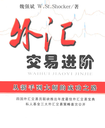 《外汇交易进阶-从新手到大师的成功之路》[PDF]下载