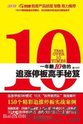 《一年翻10倍的追涨停板高手秘笈》pdf下载