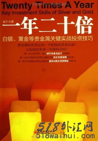 《一年二十倍:白银、黄金等贵金属关键实战投资技巧》下载