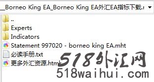 Borneo King EA外汇EA指标下载