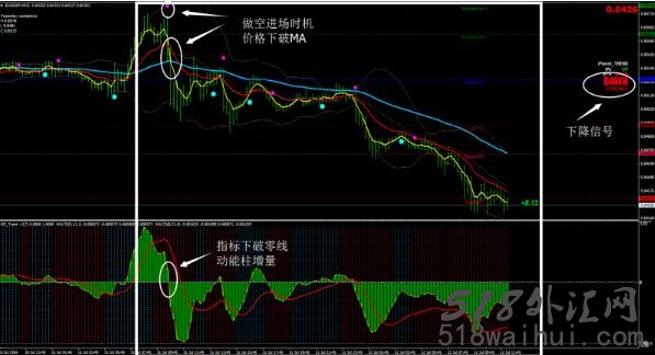 绿点V2外汇交易系统下载,只需要几个点,无脑交易！