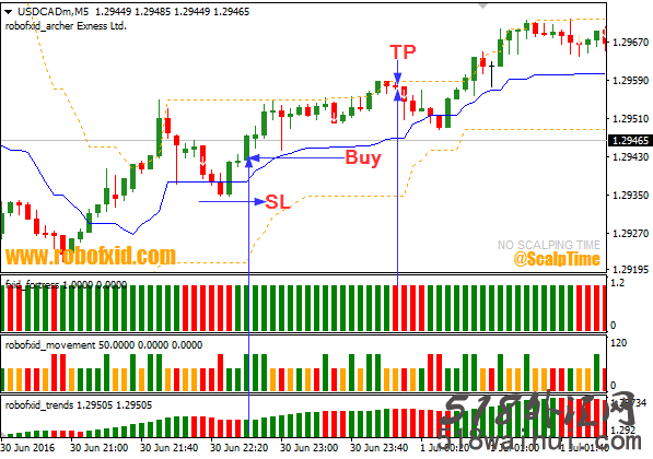 还不错的指标Robofx Scalping Strategy分享下载