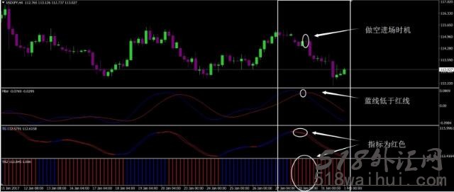 TG Strategy外汇交易系统下载