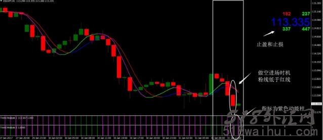 趋势分析外汇交易系统下载