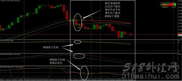 Egwig外汇交易系统下载