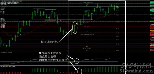 CATFX50外汇交易系统下载