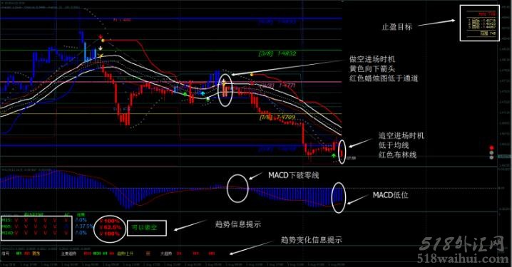 FS专家外汇交易系统下载