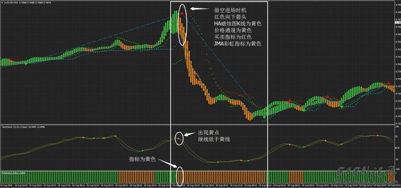 Ratis修改版外汇交易系统下载