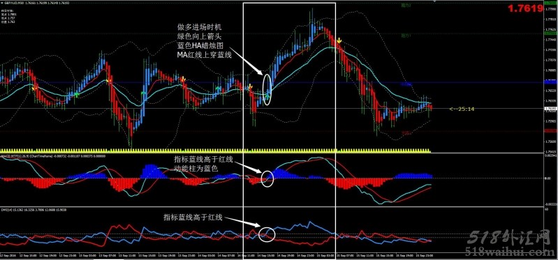 Bidara外汇交易系统汉化版下载