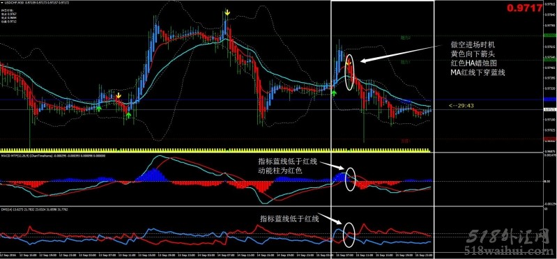 Bidara外汇交易系统汉化版下载