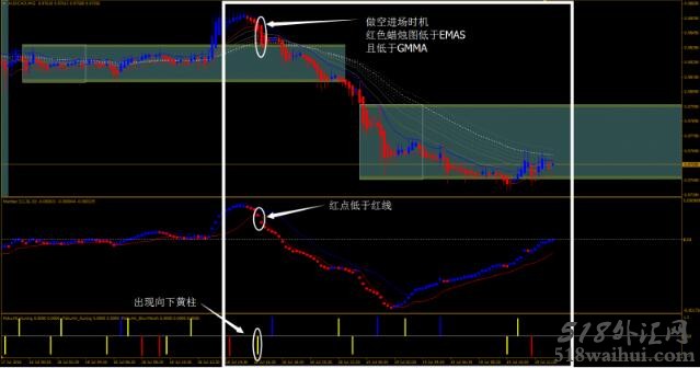 PK外汇交易系统下载