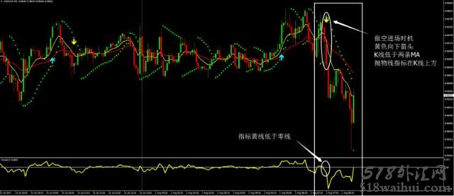 FM外汇交易系统下载