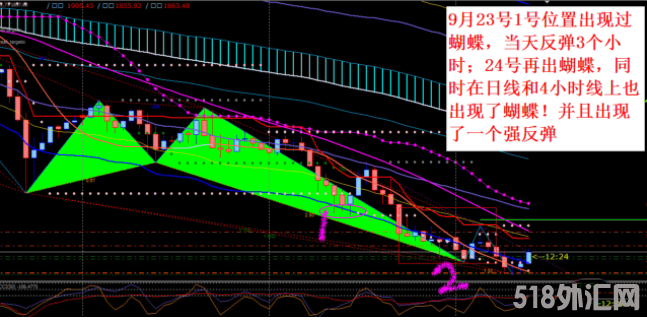 外汇MT4指标  蝴蝶指标  非常实用